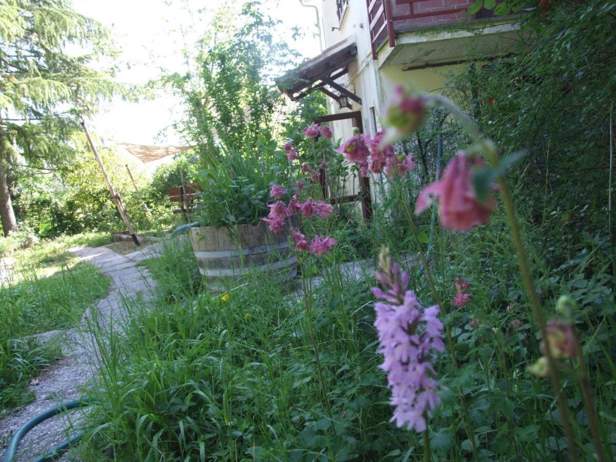 Vacanze Toscane In The Country - Villa Agrifogli Sassetta Εξωτερικό φωτογραφία