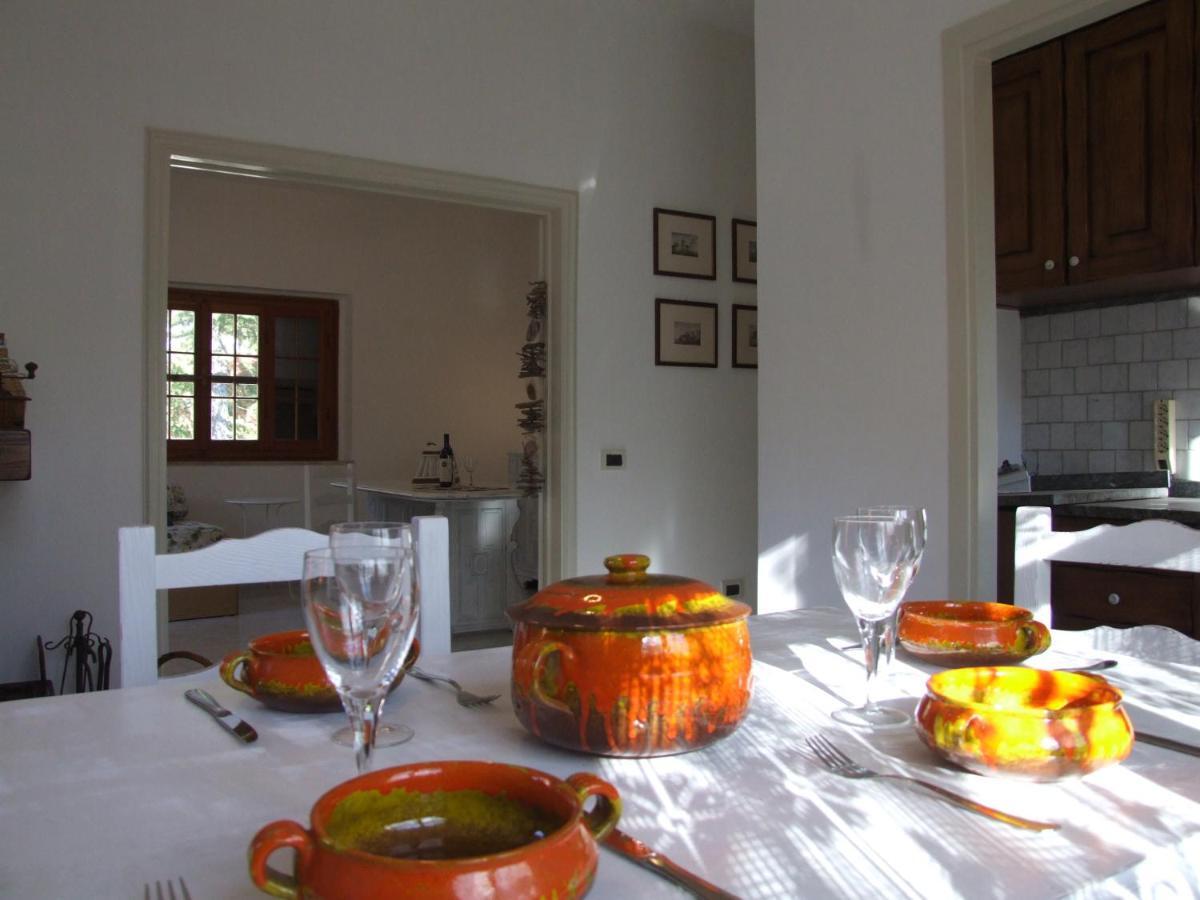 Vacanze Toscane In The Country - Villa Agrifogli Sassetta Εξωτερικό φωτογραφία