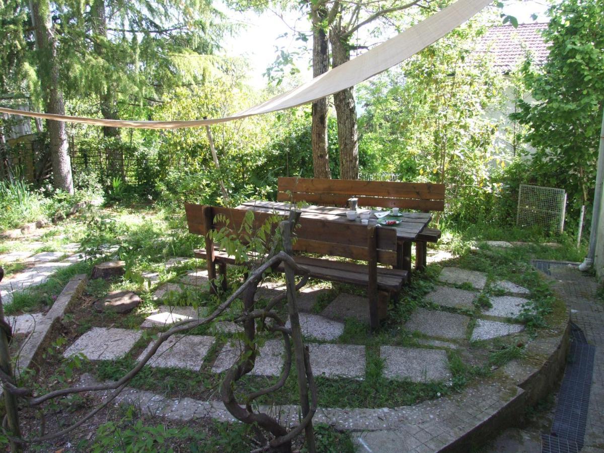 Vacanze Toscane In The Country - Villa Agrifogli Sassetta Εξωτερικό φωτογραφία