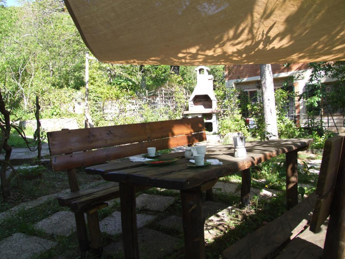 Vacanze Toscane In The Country - Villa Agrifogli Sassetta Εξωτερικό φωτογραφία