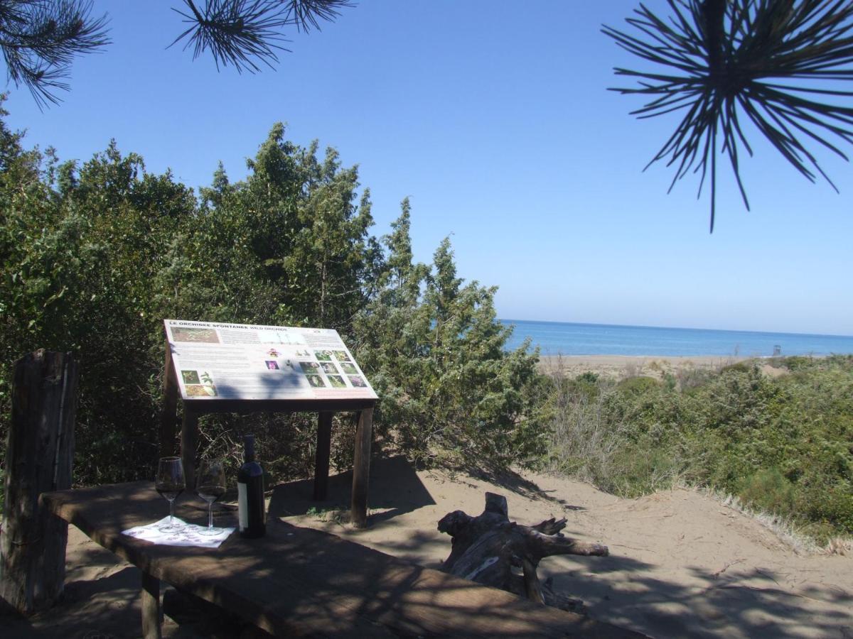 Vacanze Toscane In The Country - Villa Agrifogli Sassetta Εξωτερικό φωτογραφία