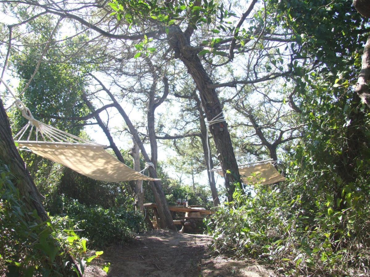 Vacanze Toscane In The Country - Villa Agrifogli Sassetta Εξωτερικό φωτογραφία